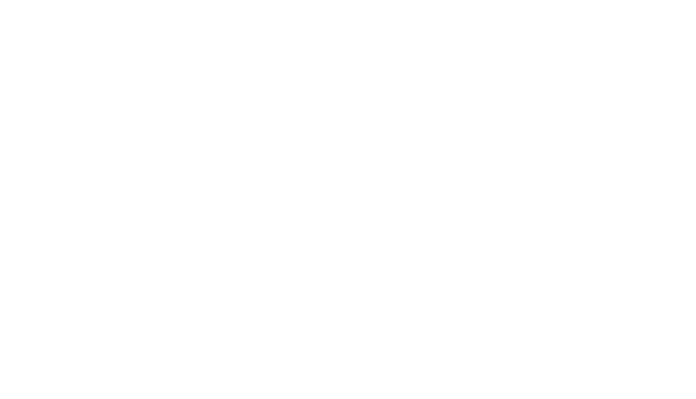 Morphic Spaces