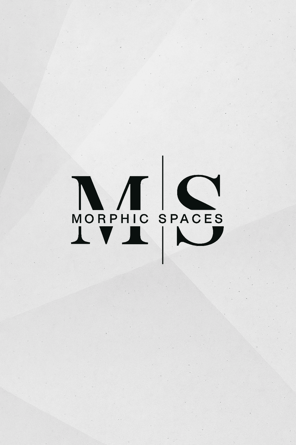 Morphic Spaces